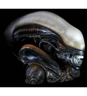 Alien 11 Lifesize Bust *Brand New*  