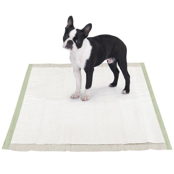   Biodegradable Eco Friendly Puppy Wee Wee Training Pads 200ct  