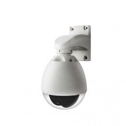 Indoor/Outdoor Weatherproof Pan Tilt Video Surveillance Camera (CM 