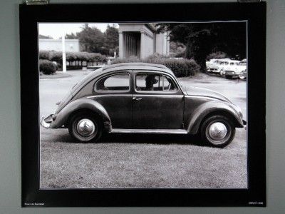   Volkswagon Bug, VW Beetle, Poster Poodle in Bug by Nat Norman  