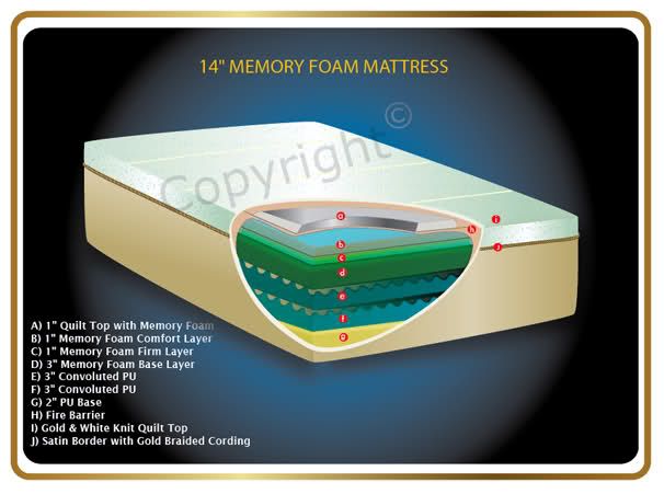  H14xW76x L80 6 of Memory Foam plus 8 of High Polyurethane 