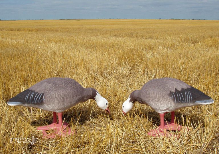 BIG FOOT BIGFOOT BLUE SNOW GOOSE FEEDER DECOYS NEW  