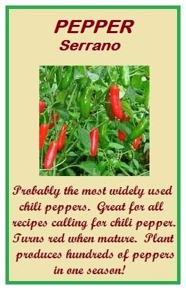 PEPPER, Serrano (Hot) NON HYBRID NON GMO HEIRLOOM GARDEN SEEDS OPEN 