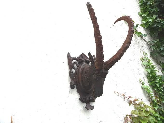   CARVED WOODEN HEAD OF AN IBEX on WONDERFULLY CARVED PLAQUE  