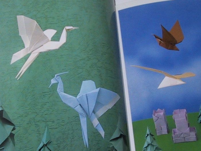 Origami Advanced Flying Bird Washi Paper Book  