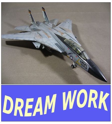 Award winner built Academy 1/48 F 14 VF21 Pukin Dogs  