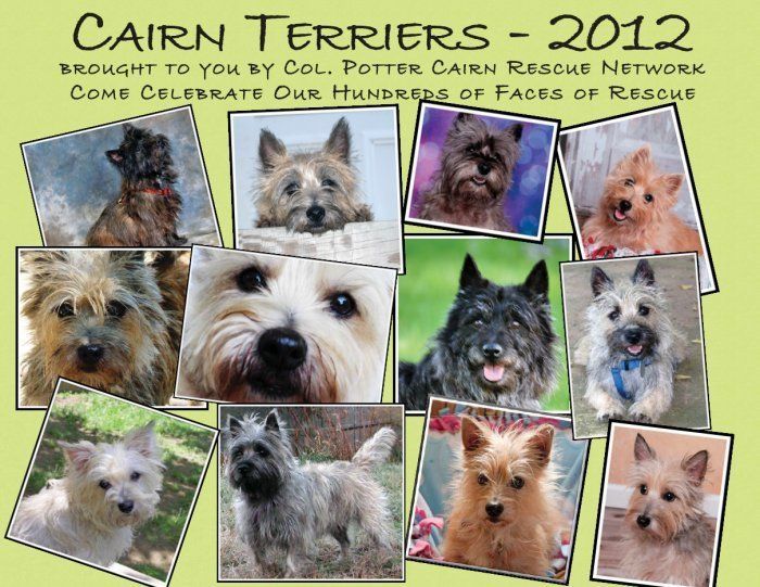 2012 Cairn Rescue Calendar   Col. Potter Cairn Rescue  