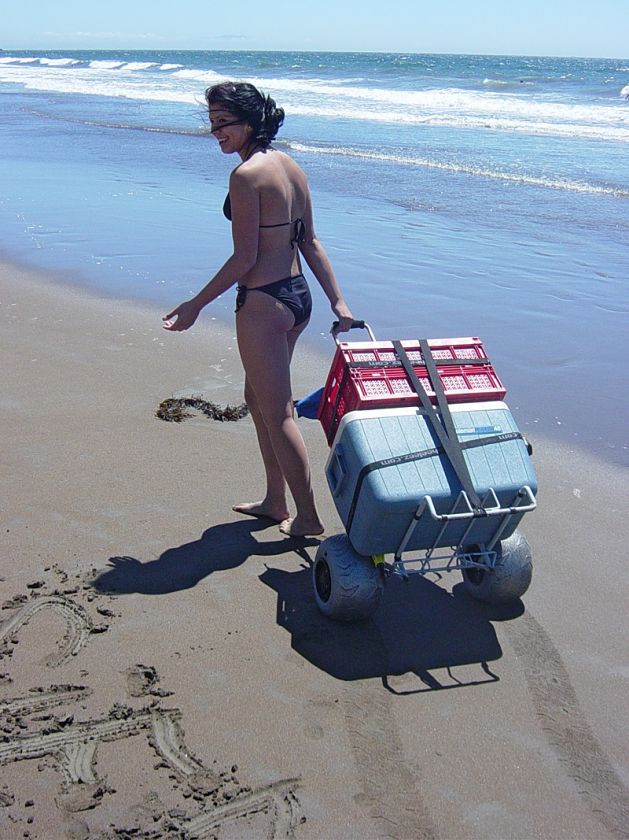 Beach Cart Folding pulled by girl on beach