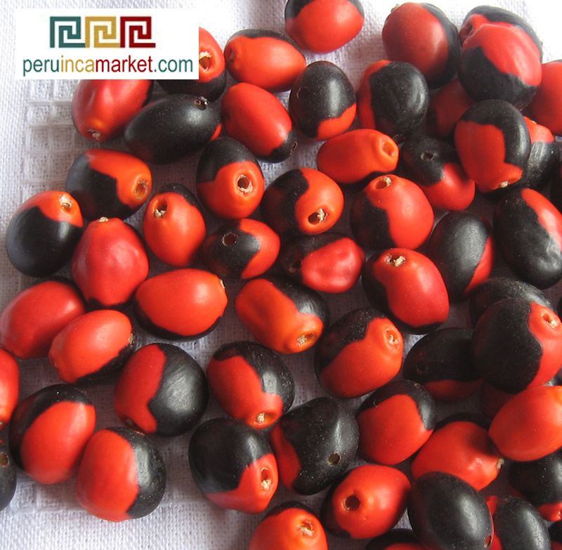 100 HUAYRURO LARGE BIG BEADS AS Seeds Peru Drilled PERU BRAZIL 