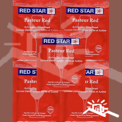 Packages Red Star Wine Yeast PASTEUR RED   5 gm packs FREE SHIP Brew 